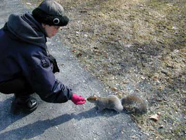 Je viens ici avec une amie. On apporte un sac rempli de peanuts. Les écureuils viennent les prendre dans notre main.»