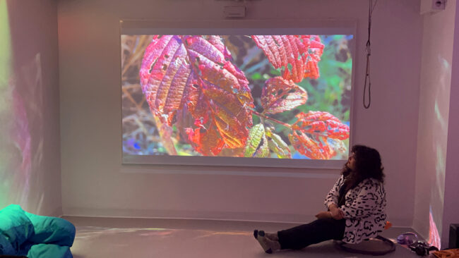 A person sitting on the floor watching a large projected image of colorful autumn leaves in a room with soft ambient lighting. Une personne assise sur le sol regarde une grande image projetée de feuilles d'automne colorées dans une pièce avec un éclairage ambiant doux.